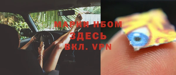 стаф Белокуриха