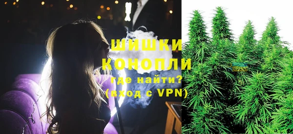 стаф Белокуриха