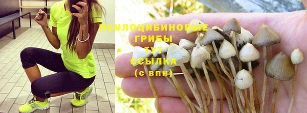 стаф Белокуриха